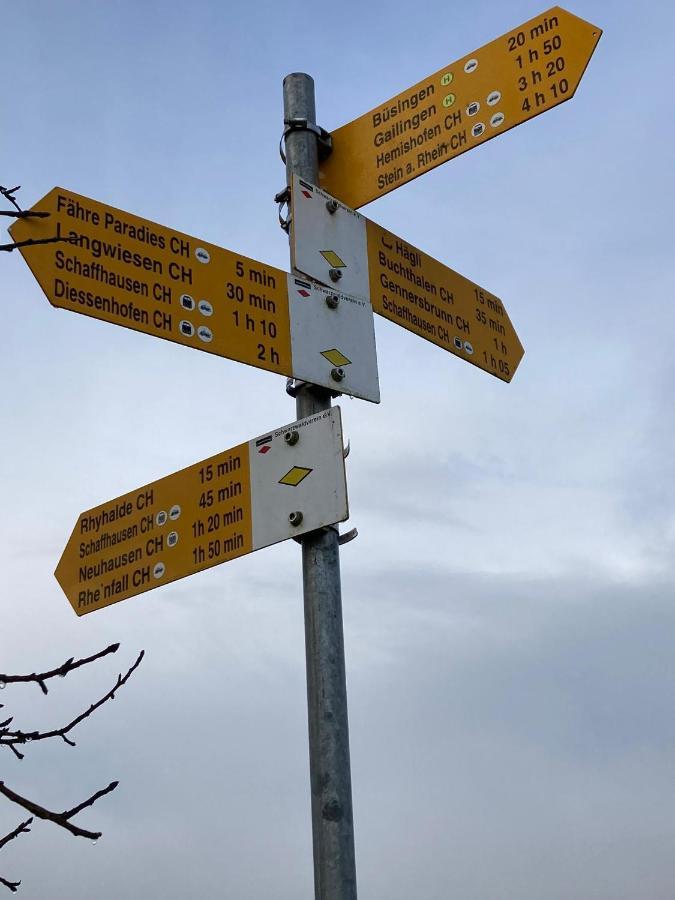 Апартаменты Buesingen Am Hochrhein Radfahren, Wandern, Natur Geniessen Экстерьер фото