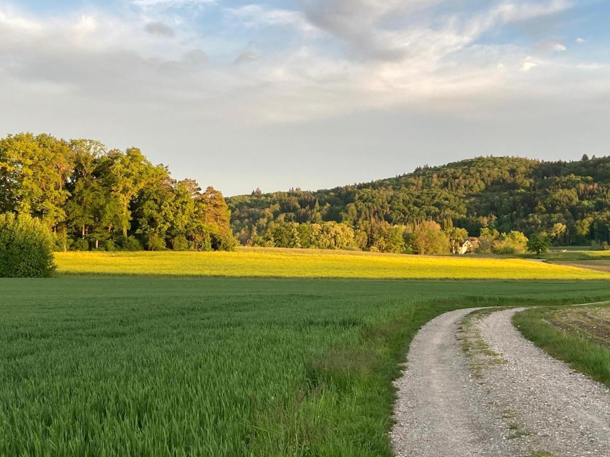 Апартаменты Buesingen Am Hochrhein Radfahren, Wandern, Natur Geniessen Экстерьер фото