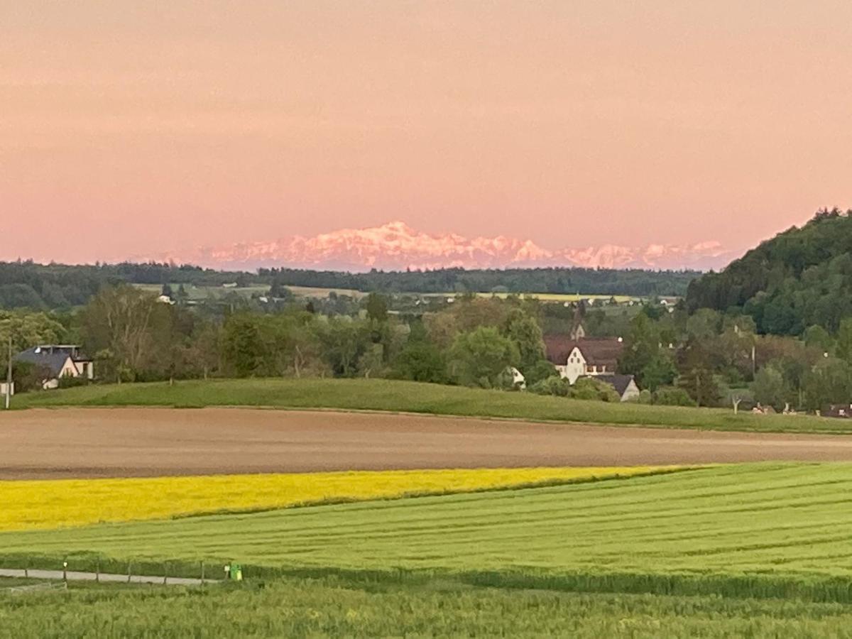 Апартаменты Buesingen Am Hochrhein Radfahren, Wandern, Natur Geniessen Экстерьер фото