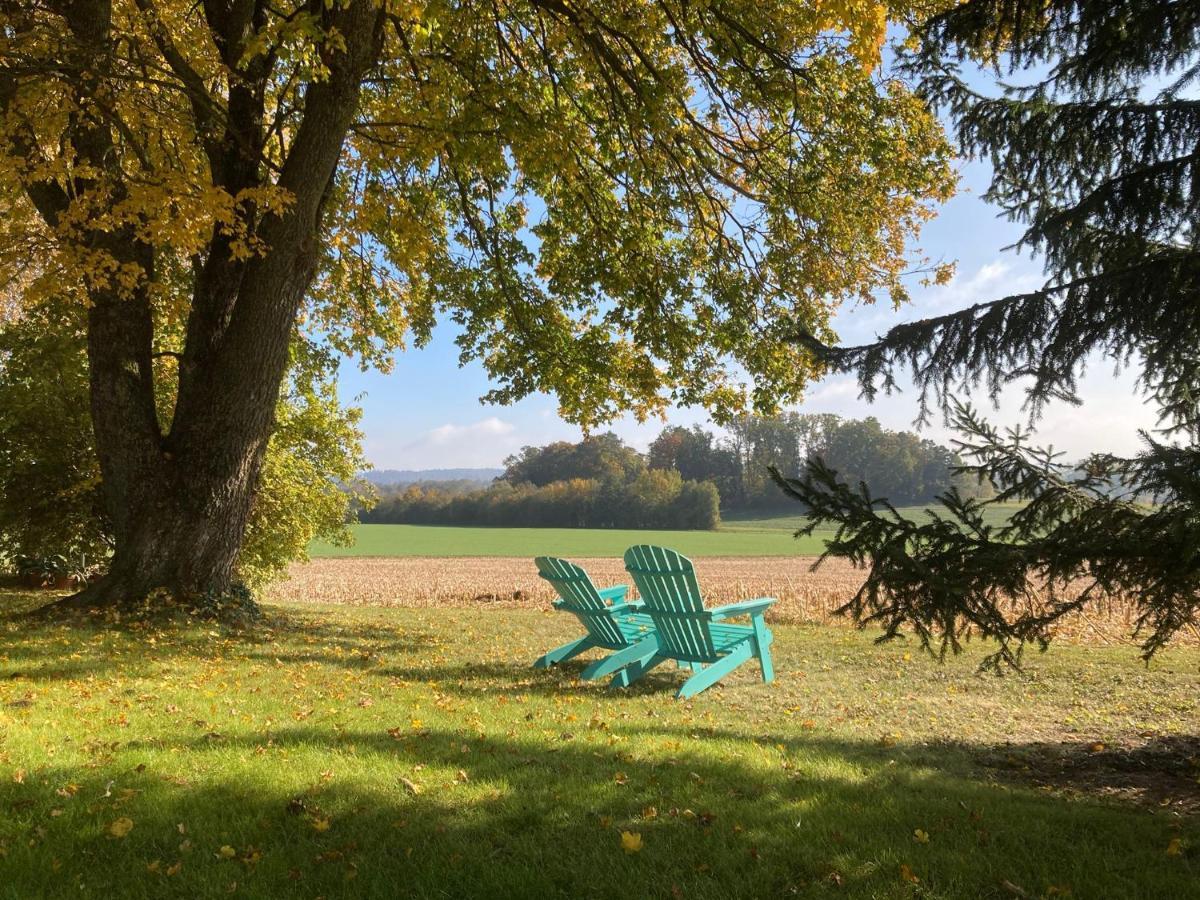 Апартаменты Buesingen Am Hochrhein Radfahren, Wandern, Natur Geniessen Экстерьер фото